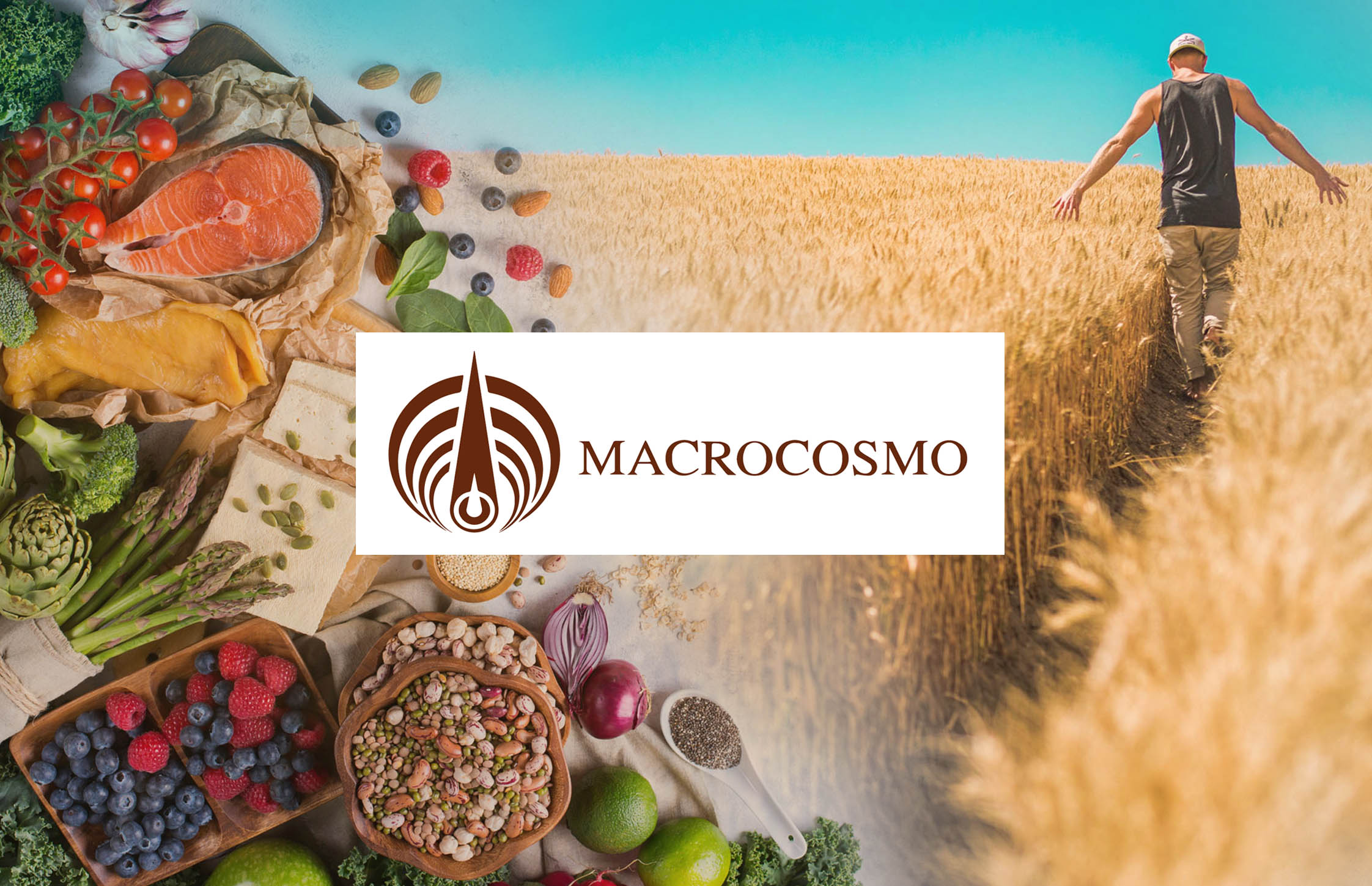 macrocosmo %sitename% %sep% %sitedesc%